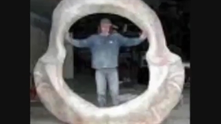 New Re: The Megalodon - world's largest shark (part 1) HD ( Updated)