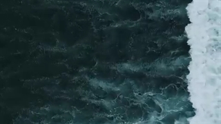 فقط حسه خوبش