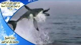 003 - فاصل عرض حوت.flv