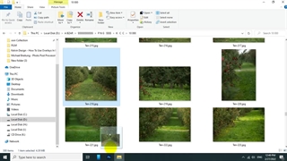 خرید بک گراند عروس داماد
