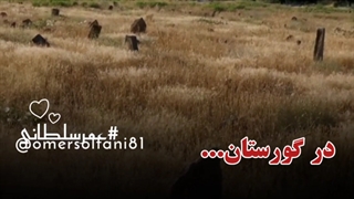 در گورستان بر مزار بی خانه ای نوشته بودند (1080P_HD)