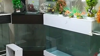 نمای کلی از فروشگاه پلانگتون