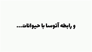 مدگل و گربه هاش:)