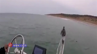 اثبات وحشی بودن کوسه سفید!