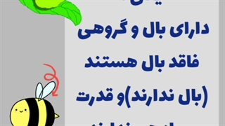 بی مهره ها قسمت دوم درس یازدهم