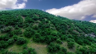 گردشگری زیباشهرکرد