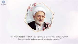 Ayatollah Bahjat on Imam Mahdi (aj)