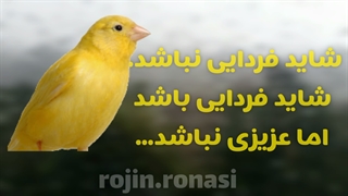 ویدئو انگیزشی _ روژین روناسی