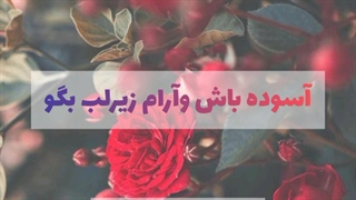 ویدئو انگیزشی _ روژین روناسی