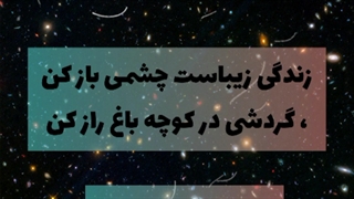 ویدئو انگیزشی _ روژین روناسی