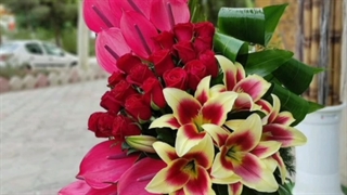 گل فروشی 17 شهریور تهران