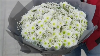 گل فروشی فتح تهران