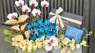 گل فروشی شهرک فرهنگیان