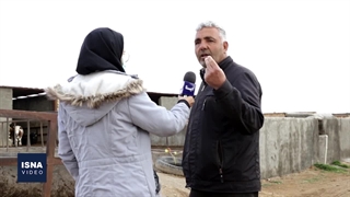 حالِ ناخوش دامداران اراکی