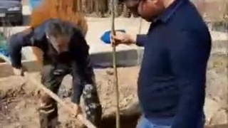 آموزش جامع کاشت نهال گردو توسط مهندس رسول بابایی (قسمت دوم)