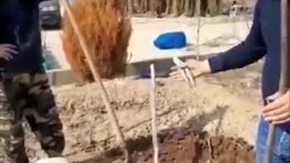 آموزش جامع کاشت نهال گردو توسط مهندس رسول بابایی (قسمت چهارم)