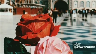 بسم رب الحسین
