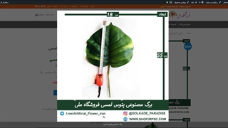برگ های مصنوعی پتوس لمسی