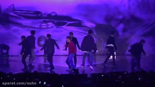 استیج لاوشات