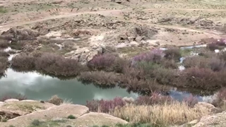 طبیعت زیبای قائنات