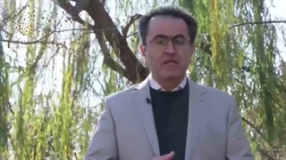 گزش حشرات و نحوه ی درمان آن