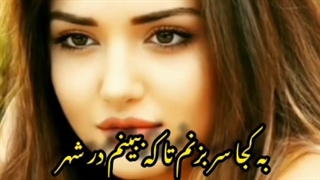 دکلمه شعر کاش با صدای محمد خوش بین