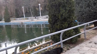 فیلمبردار-حسام الدین شفیعیان