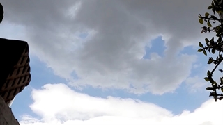 فیلمبردار-حسام الدین شفیعیان