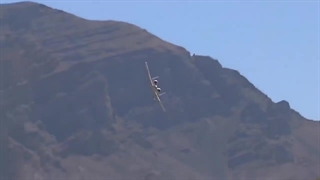 ترابری جدید