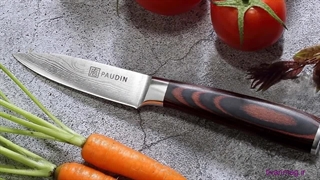 انتخاب بهترین کارد میوه خوری