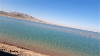 فیلم. اسفند 1400.تالاب محمد اباد علم