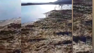 سد روستای محمدآباد علم , قاین