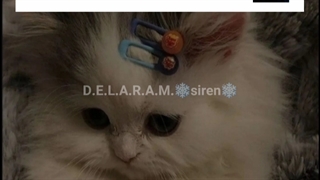 آهنگ هایی‌که‌زیادشنیدین‌اما اسمش‌روشایدندونین‌پارت ۳۹