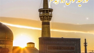 آمدم پنجره فولاد آمدم/ امام رضا/ مشهد/ زیارت/ سیدعرشی