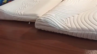 بالش های دانلوپیلو آلمان