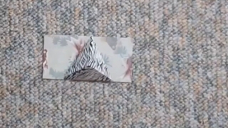 جشنواره نوجوان خوارزمی مدرسه شاهد خرم آباد دوره اول (محور ریاضی و برنامه نویسی)