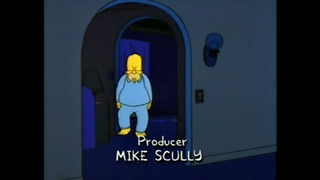 Simpsons the burglar