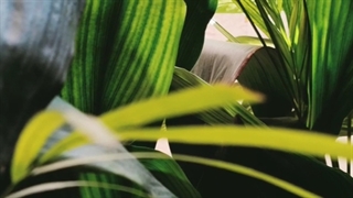 با محصولات تخصصی بایوفول به موهای خود طراوت ببخشید