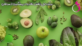 تغذیه در نوتکس