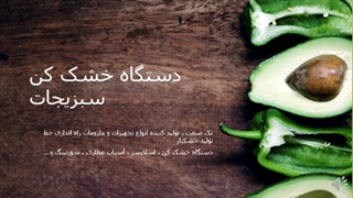 دستگاه خشک کن انگور