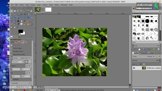 ترکیب تصویر در نرم افزار gimp