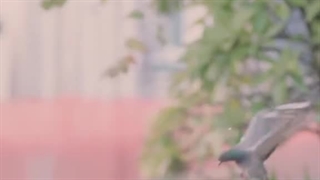 من به سوی غش کردن:)))) Sanaee