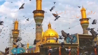 دختر شاه نجف/ حضرت معصومه سلام الله/ قم/سید عرشی/شعر جراحی پف زیر چشم