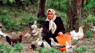 طبیعت با جان