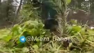 ایده‌های جالب تصویر برداری در طبیعت با موبایل