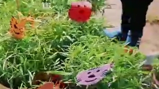 نوروز 1401 در نیشابور