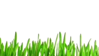 سال نومبارک-2