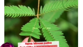 اتفاقات عجیب Part 6