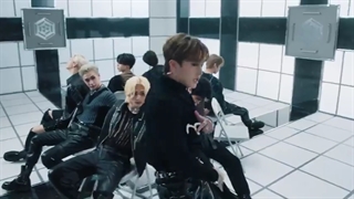 موزیک ویدیو جدید استری کیدز"venom"