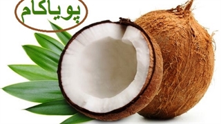 نارگیل باز کنیم